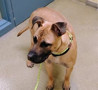MAX - Photo 1