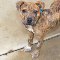 ERNIE - Photo 1