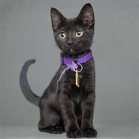 ASTRID - Photo 1