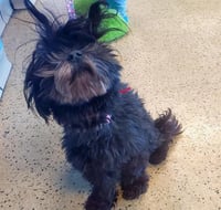 SKEETER - Photo 1