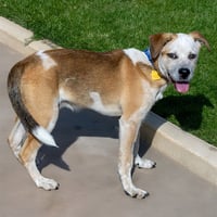 GROVER - Photo 1