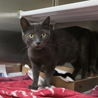 CASSANDRA - Photo 1