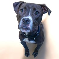 MASON - Photo 1