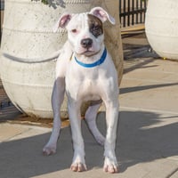 CASPER - Photo 1