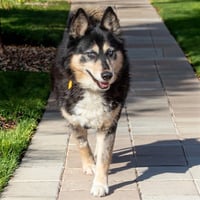 SKYE - Photo 1