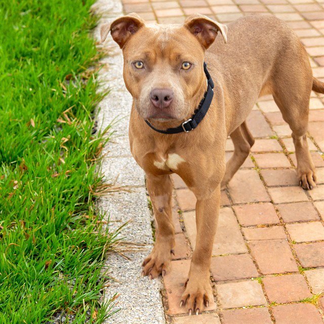 HOT SPRINGS Image