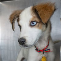 INARA - Photo 1