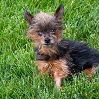 BENTLEY - Photo 1