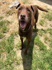 BERNIE - Photo 1