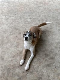 FRISBEE - Photo 1