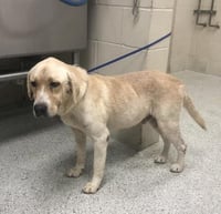 MAX - Photo 1