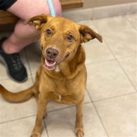 SALLY - Photo 1