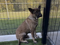 JAGER - Photo 1