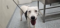 SUGA MAMMA - Photo 1
