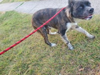 NALA - Photo 1