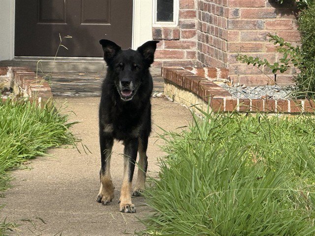 DRAKO Image