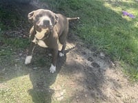 BIZZIE - Photo 1