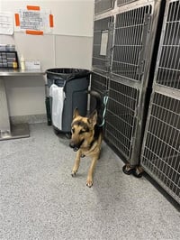 ARLO - Photo 1