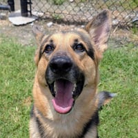ARLO - Photo 1
