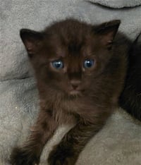 KIT 3 - Photo 1