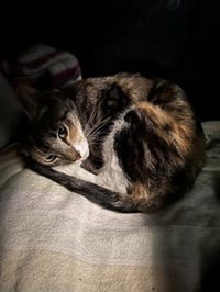 A655846 - Photo 1