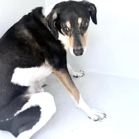 DAKOTA - Photo 1