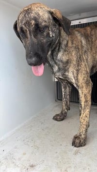 A657745 - Photo 1