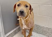 BILLY - Photo 1