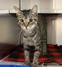 KACEY - Photo 1