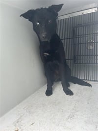 HERA - Photo 1