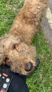 A657926 - Photo 1