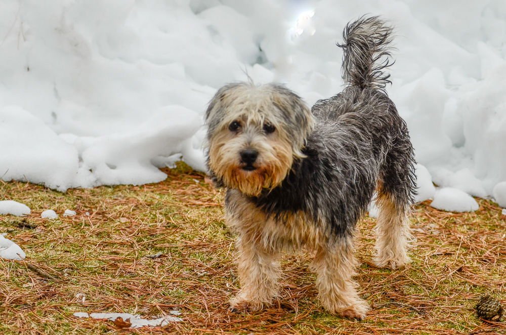 Bo-pending - Photo 4