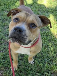 RUSTY - Photo 1