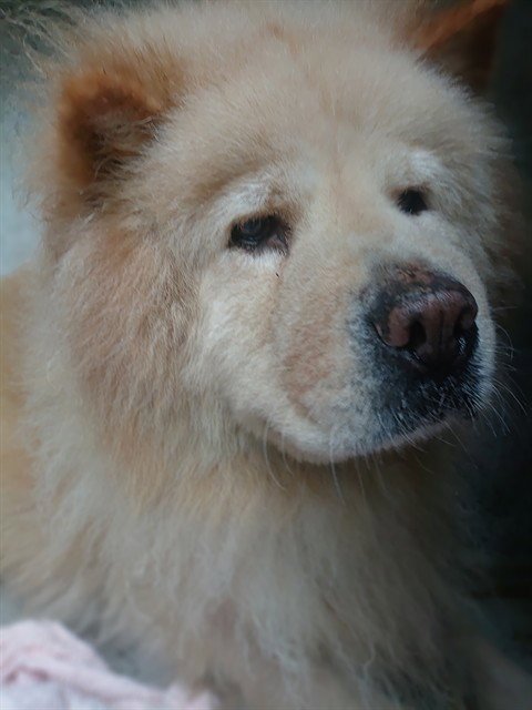 BARKLEY Image