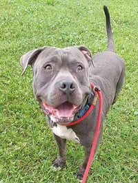 TITUS - Photo 1