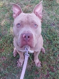 ZEUS 3 - Photo 1