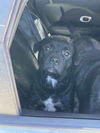LOKI - Photo 1