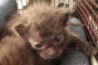 LINT - Photo 1