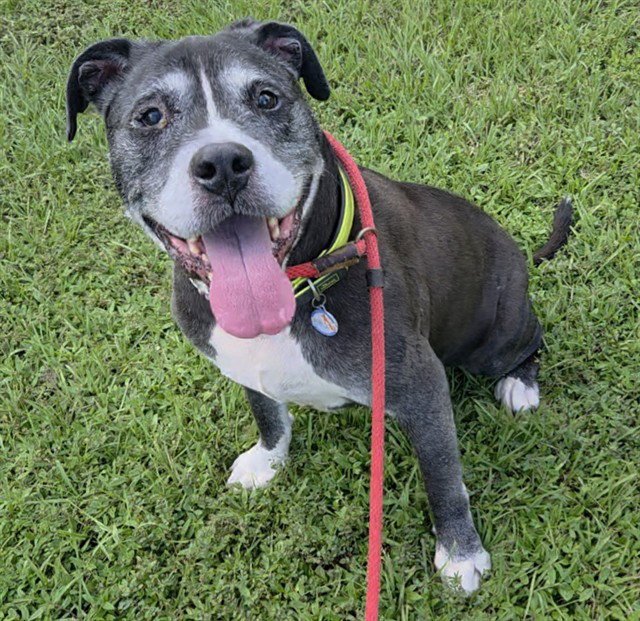 COBY Image