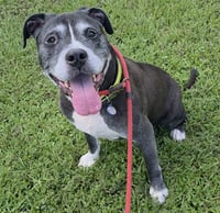 COBY - Photo 1