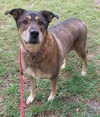 JAKE - Photo 1