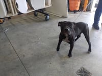 KYLO - Photo 1