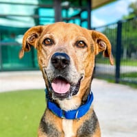 ZEUS 4 - Photo 1