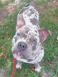 CHATTANOOGA - Photo 1