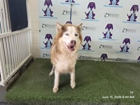 *DIGGIE - Photo 1