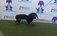 PRECIOUS - Photo 1