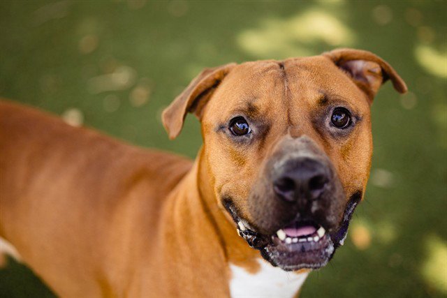 *RED Image