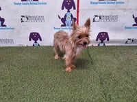 LULU - Photo 1