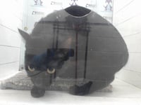 LIDRA - Photo 1