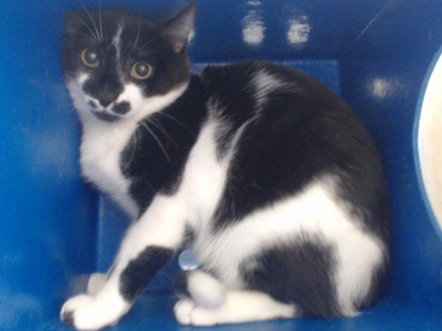KOVU Image
